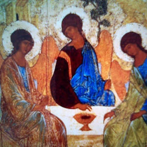 Meet your Posher, Theresa